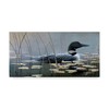 Trademark Fine Art Wilhelm Goebel 'Loon In Reeds' Canvas Art, 16x32 ALI33672-C1632GG